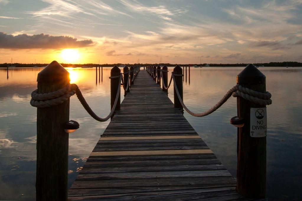 Coconut Palm Inn Tavernier Nature photo