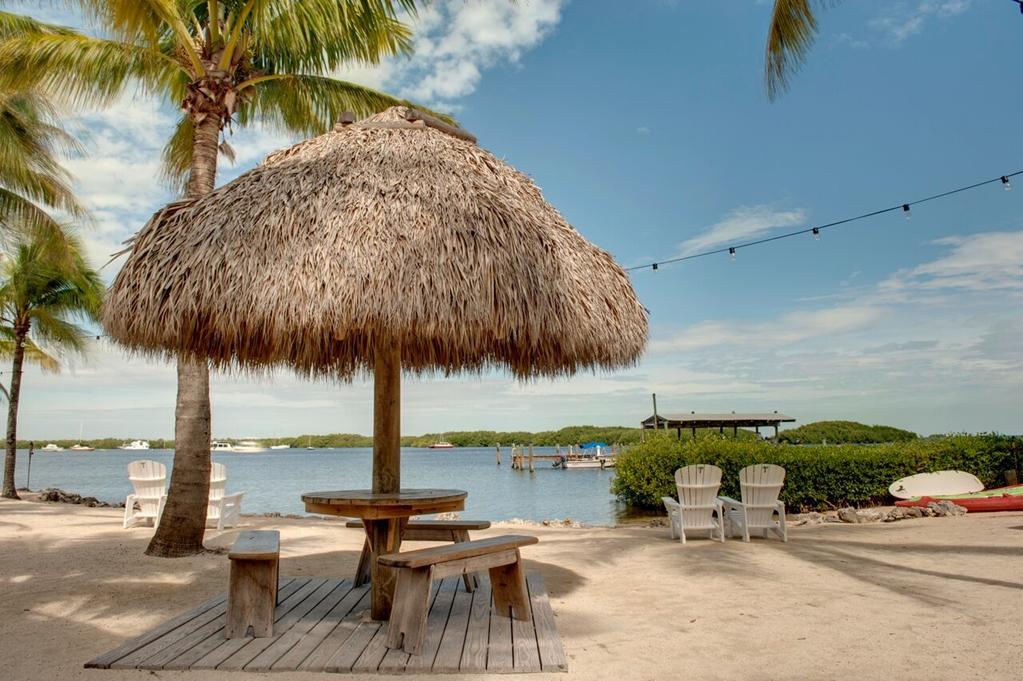 Coconut Palm Inn Tavernier Nature photo